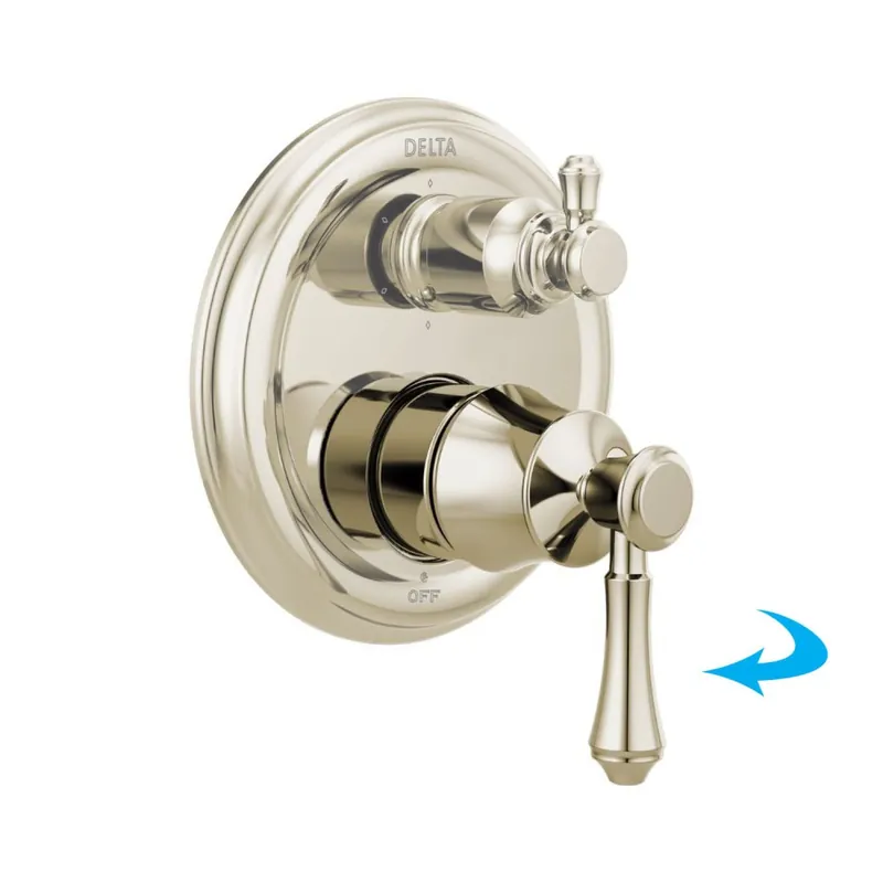 Delta RP101637PN Cassidy Handle Set Screw and Button