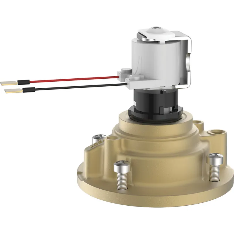 DELTA 061354A Fixed Cap Assembly For E-81T-MMO 4.2L (1.1GAL)