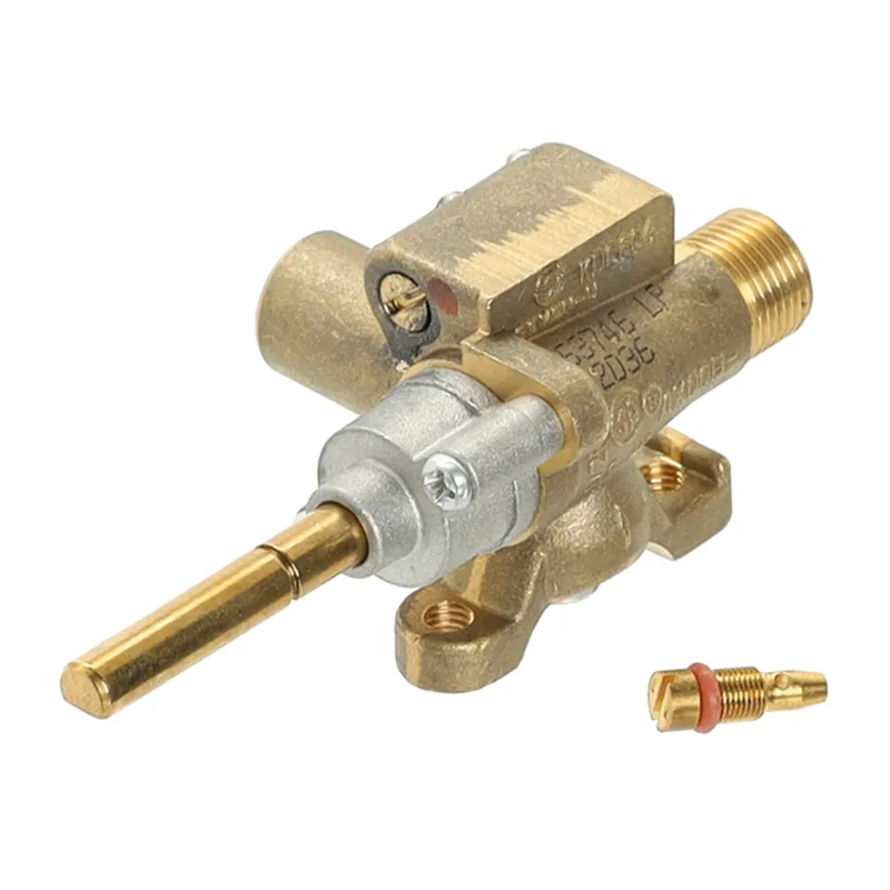 Fisher & Paykel 255196 Dual Flow Valve Kit