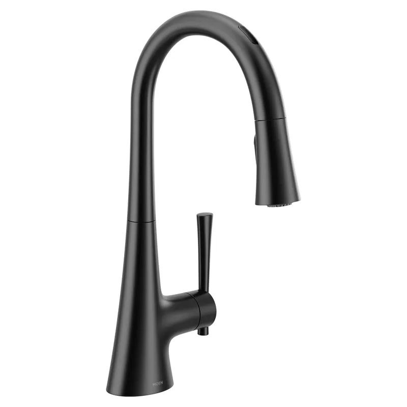 Moen 9126EVBL Kitchen Faucet Kurv Smart 1.5 Gallons per Minute
