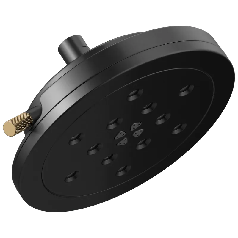 Brizo 87435-BLGL Litze 8 inches H2Okinetic Round Multi-Function Wall Mount Showerhead
