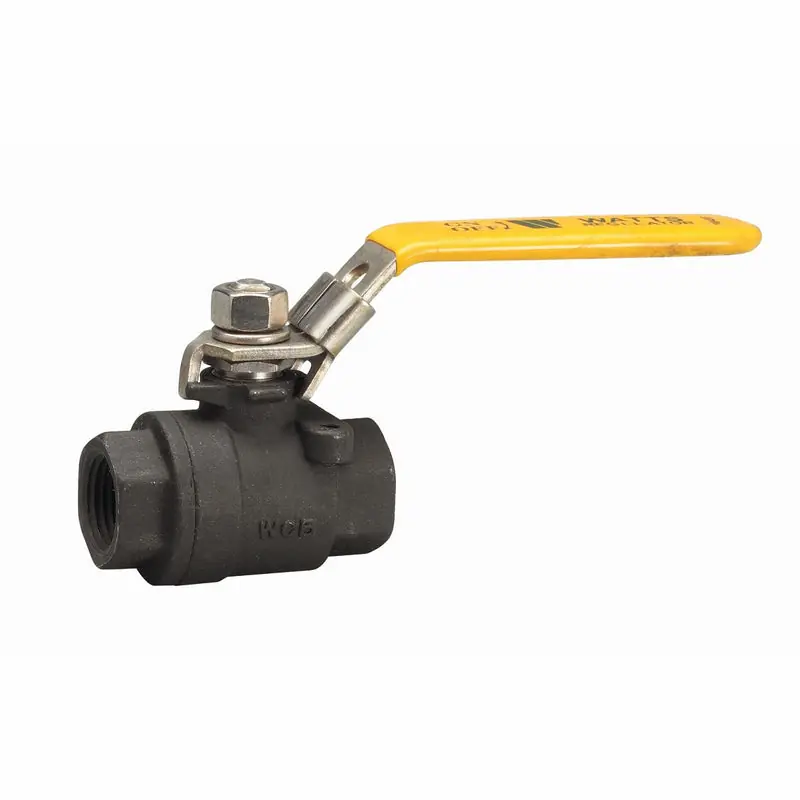 WATTS C-FBV-1 3/8 Valve