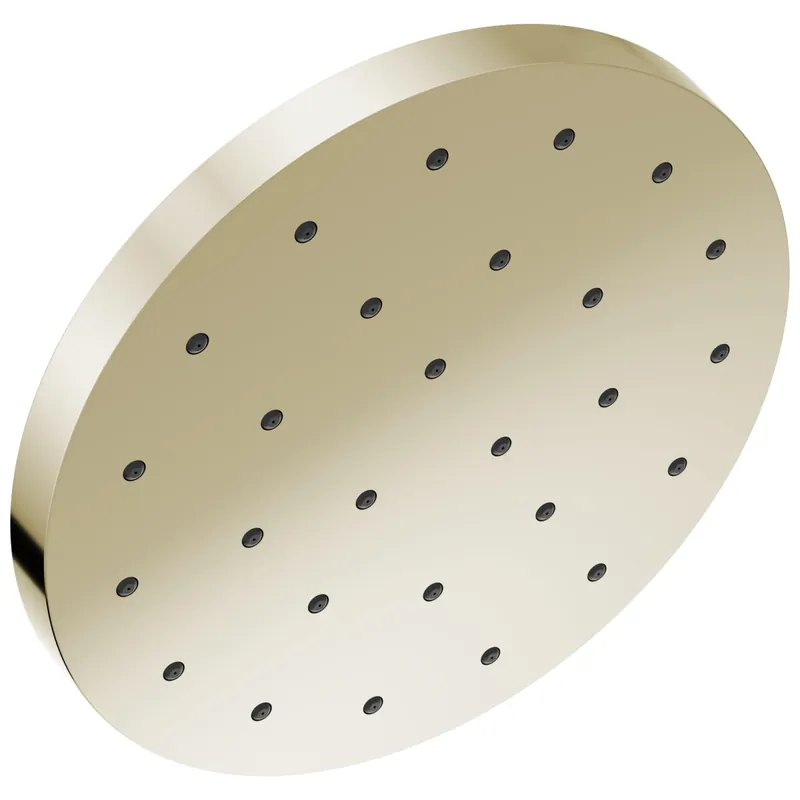 Delta 52160-PN-PR H2Okinetic Single-Setting Shower Head with Ultrasoak