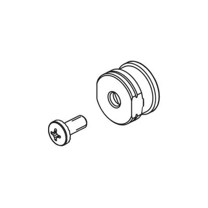Delta RP101461 Trillian Adaptor and Screw