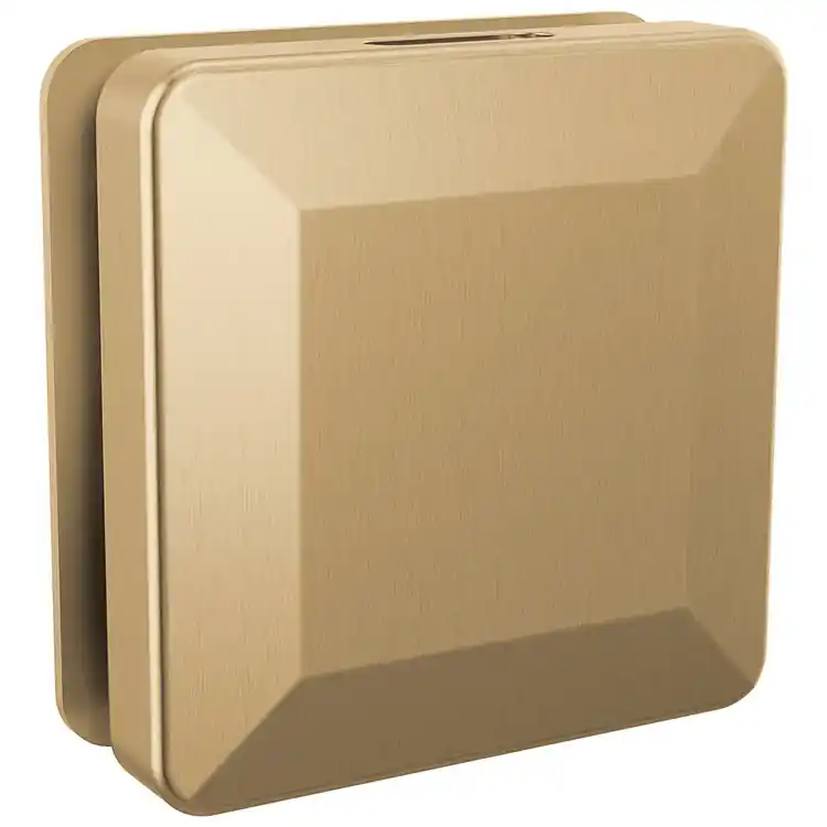 Delta RP103306CZPR Steamhead Square