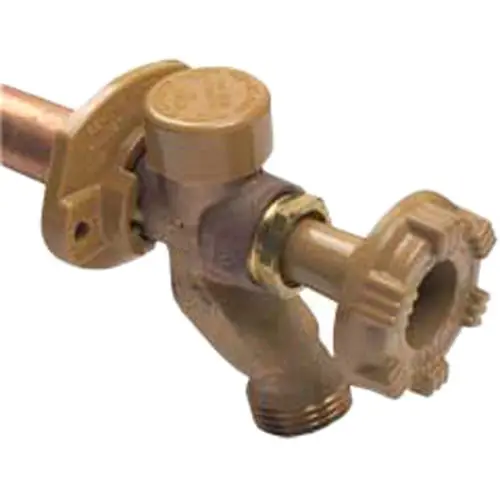 Woodford 17CP-22-MH Model 17 Freezeless Anti-Siphon Wall Faucet 22 inches