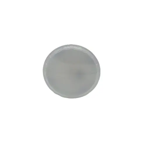 Hayward 46912 ColorSplash LED Spa Lamp 120V 425Lm RGBW