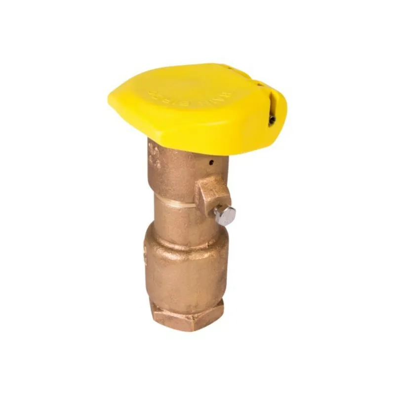 Rainbird 44RC Quick Coupling Valve 1 in.