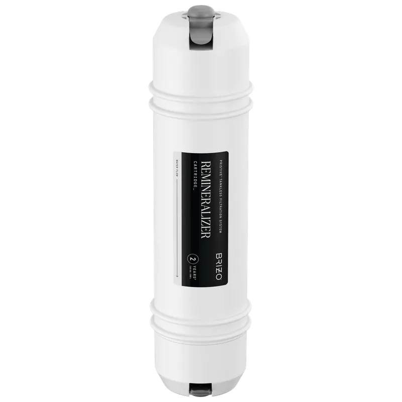 Delta BWQ300300 Reverse Osmosis Remineralizer Cartridge