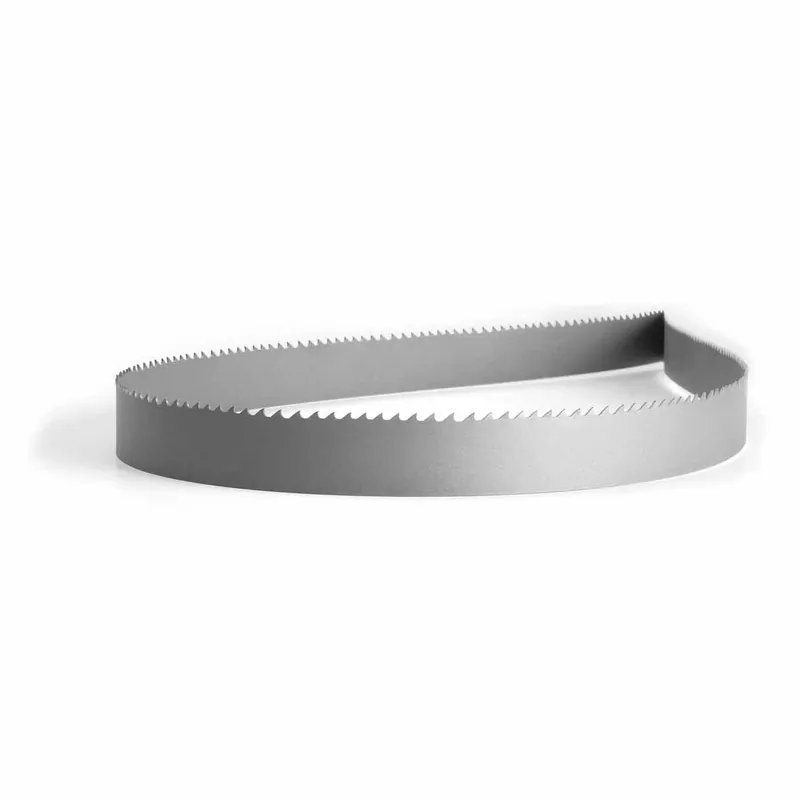 Lenox 1793065 Classic Pro 14 feet and 11 inches x 1 1/4 inches x .042 inches Bi-Metal Bandsaw Blade With 3/4 Variable Positive Variable Raker
