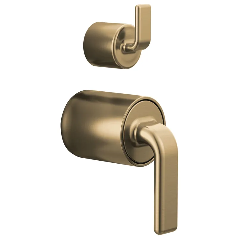 Brizo HL75P67-GL Allaria Zinc 2 Twist Lever Handle Kit