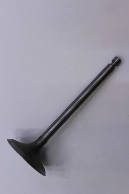 Kohler 2201701-S Valve Intake