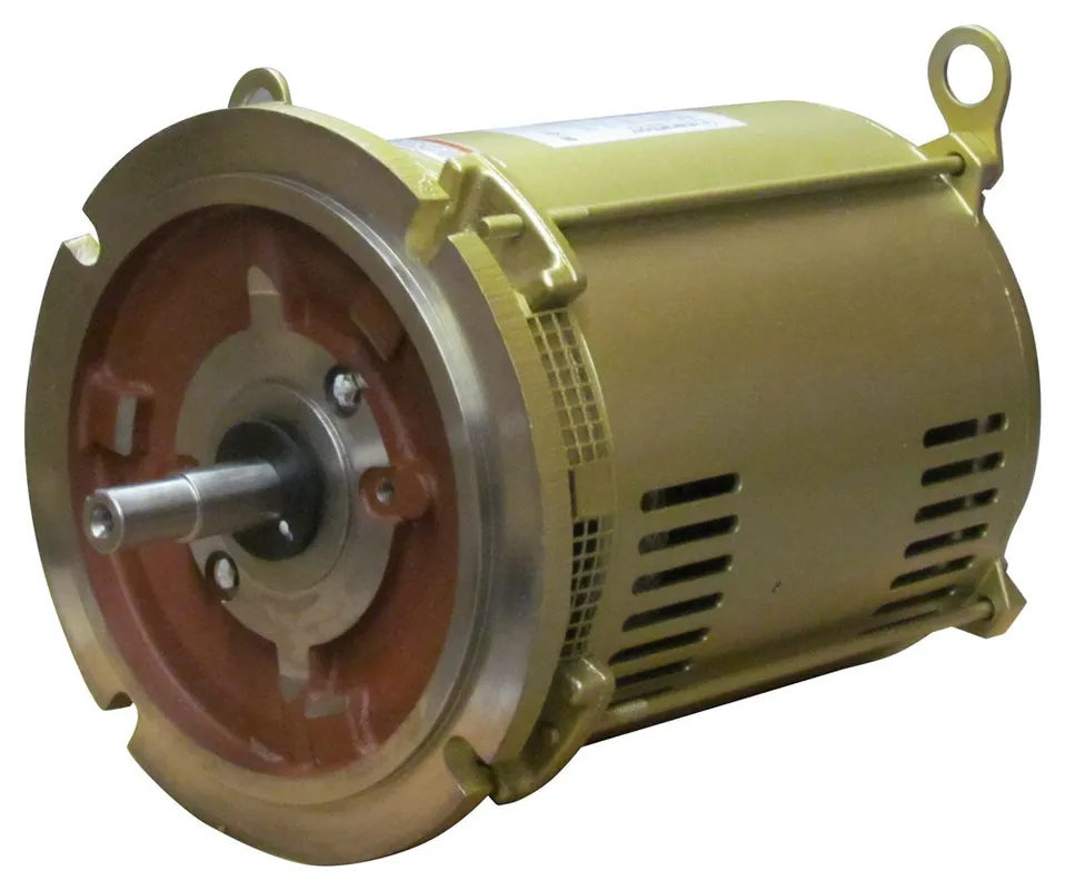 Pentair 071363S 3-Phase 10 HP Motor Replacement C-Series Commercial High Performance Pool and Spa Pump