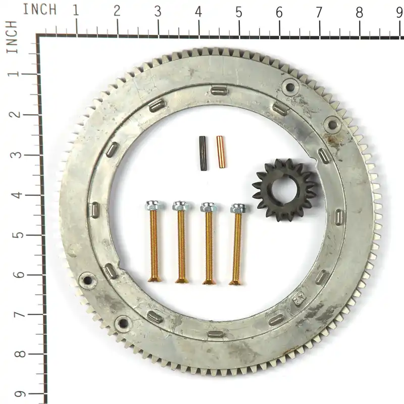 Briggs & Stratton 696537 Gear-Ring 2 KW Replacement 399676