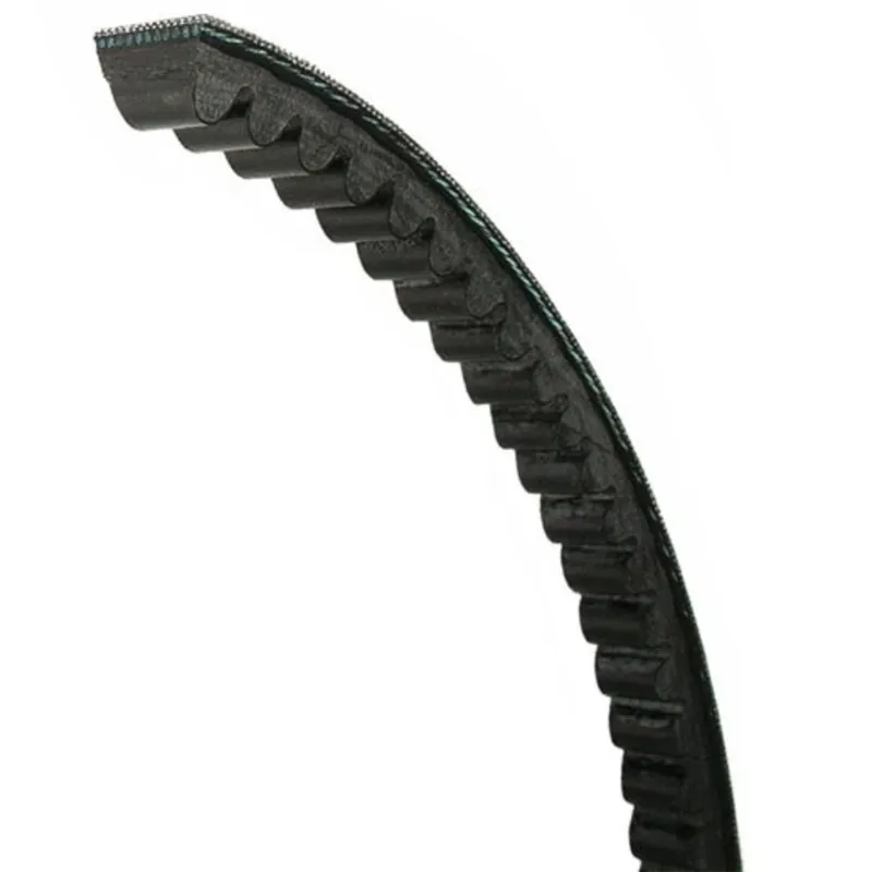 Jason Industrial AX22 Cogged V Belt (Pack of 1)