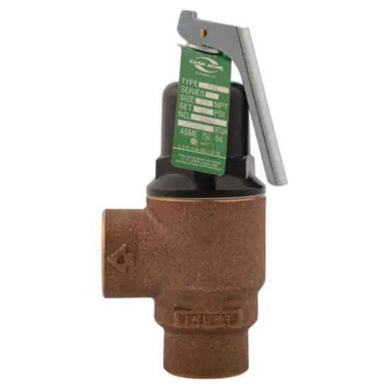Cash-Acme 23341-0100 F82 Relief Valve 3/4 inches 100# Hot Water