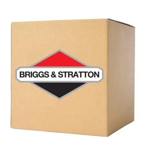 Briggs & Stratton 771605 Switch