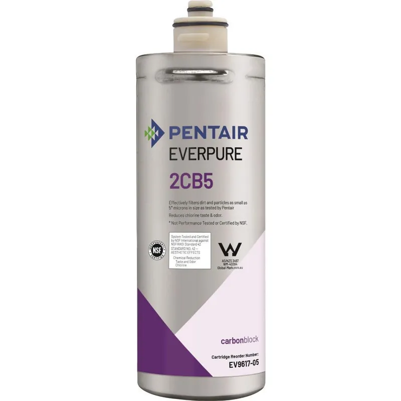 Pentair EV961705 2cb5 Cartridge