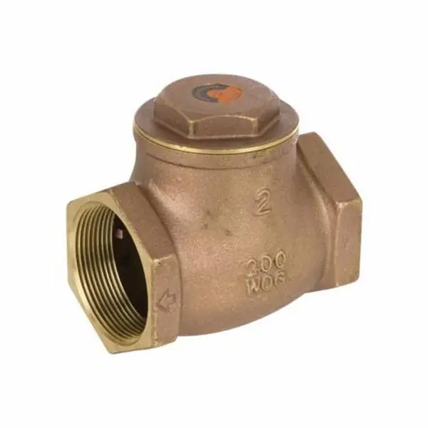 Smith-Cooper 01739191NL 9191L Swing Check Valve 2 in Thread