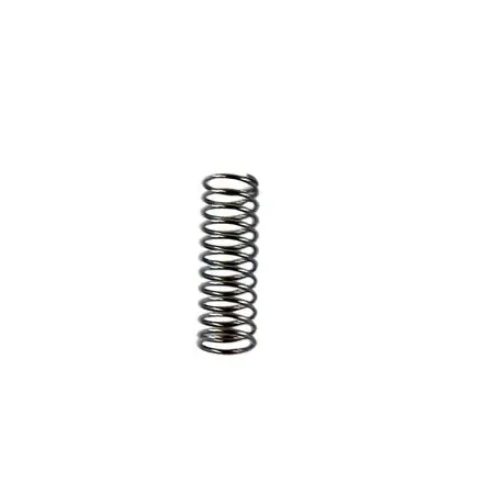 Bosch 00422631 Spring