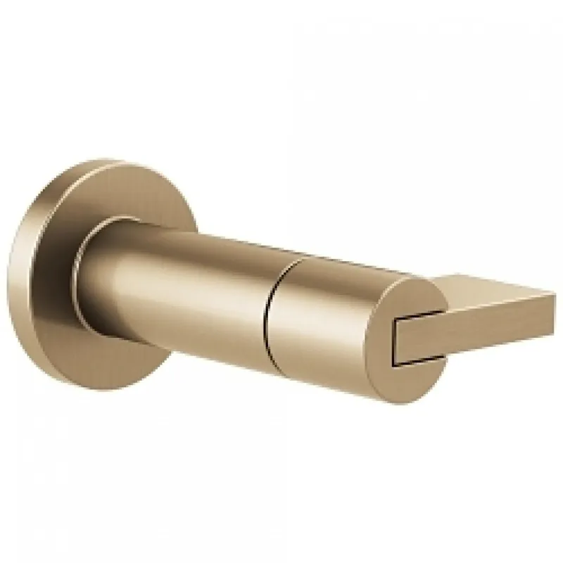 Delta T66632-GL Brizo Litze®: Sensori® Volume Control Trim - Lever