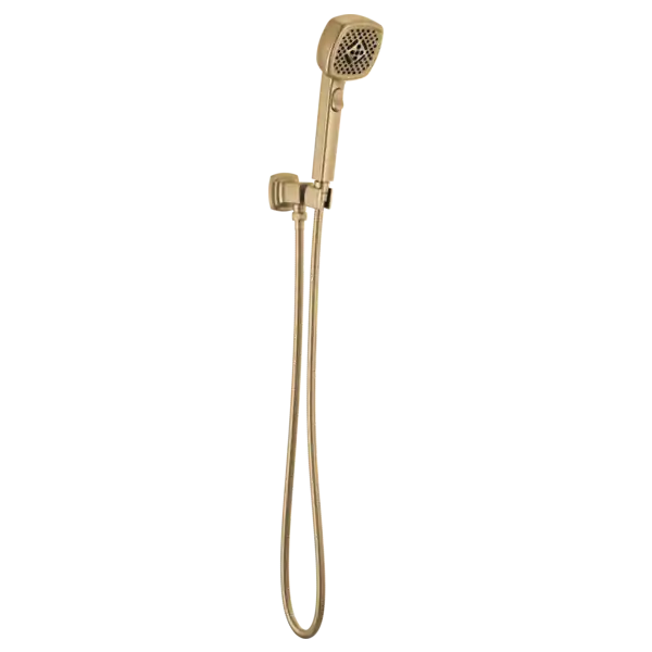 Delta Faucet 88867-GL Brizo Allaria: Multi-Function Wall Mount Handshower
