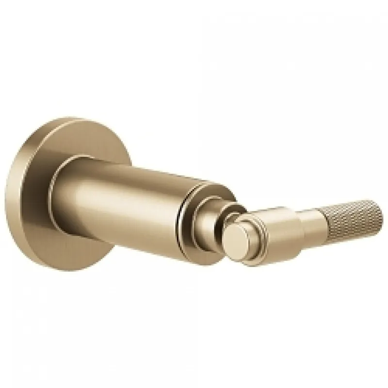 Delta T66633-GL Brizo Litze® Sensori® Volume Control Trim - T-Lever