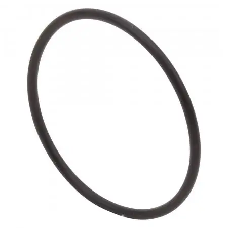 DELTA RP26756 Delta Other: O-Ring
