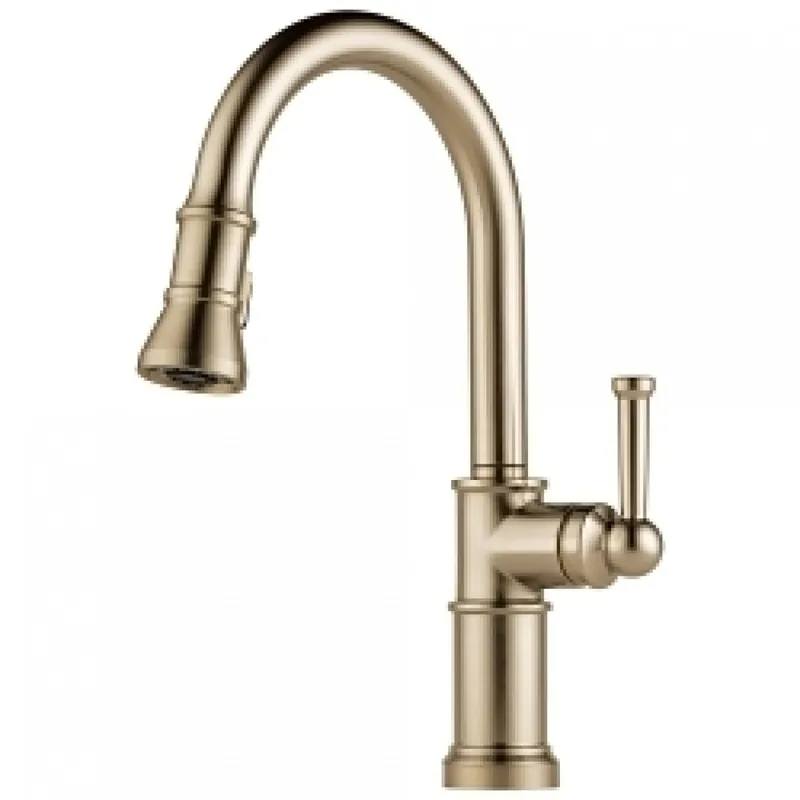 Delta Faucet 63025LF-GL Brizo Artesso: Single Handle Pull-Down Kitchen Faucet