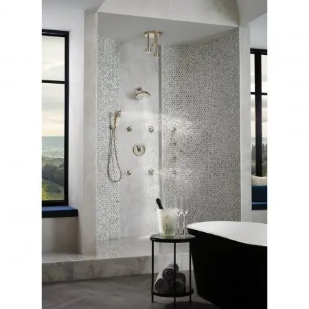 DELTA T84613-PN Brizo Brizo Universal Showering: Hydrachoice Max Round Body Spray Trim