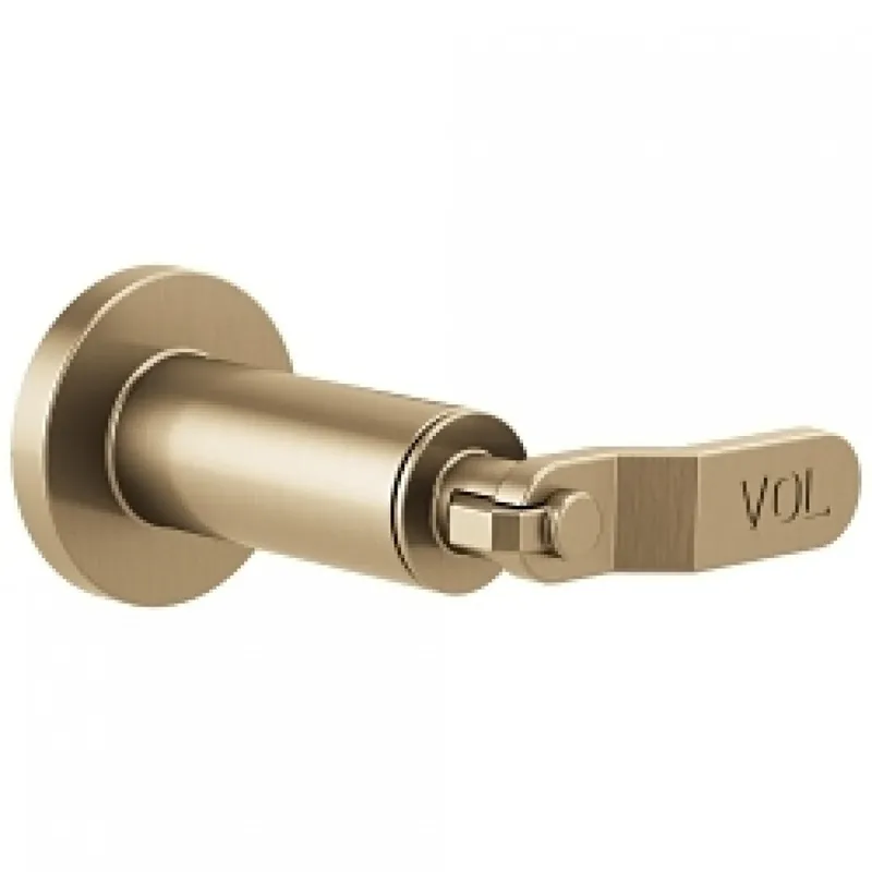 Delta T66634-GL Brizo Litze: Sensori Volume Control Trim - Industrial Lever