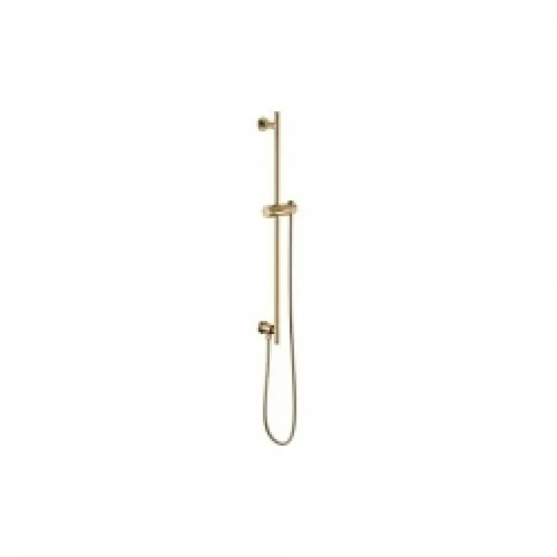 Delta Faucet 74792-GL Brizo Universal Showering: Linear Round Slide Bar With Hose