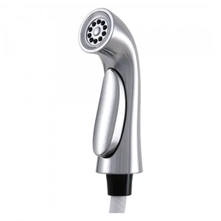 Delta Faucet RP53880AR Delta Pilar: Side Spray & Hose Assembly