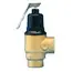 Wilkins 1-P3000BR-125 Pressure Relief Valve 1-1/4 inch Replacement MPN