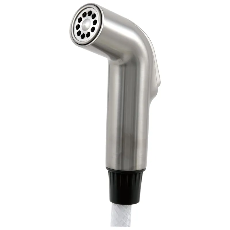 Delta RP54235SS Side Spray & Hose Assembly in Stainless