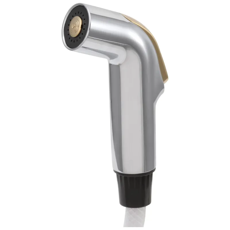 Delta RP28900CB Other: Side Spray & Hose Assembly in Chrome / Brass