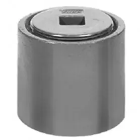 Zurn Z1440-8NH Cleanout Ferrule W/ Plug