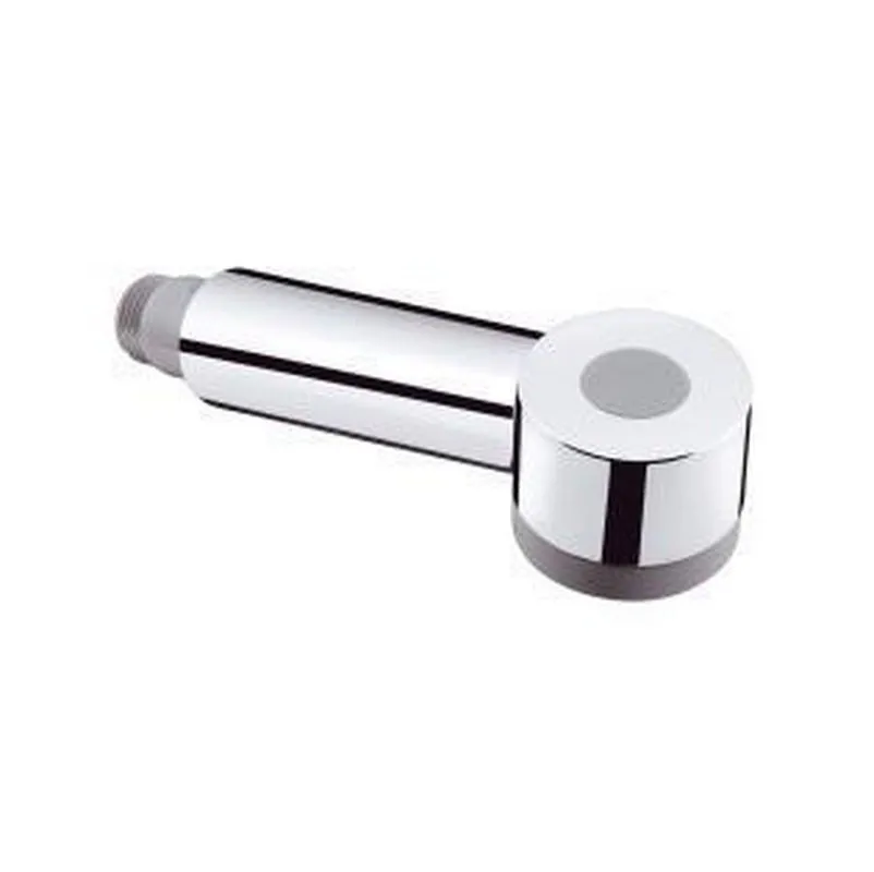 Hansgrohe 97999001 Talis S Side Hand Spray in Polished Chrome