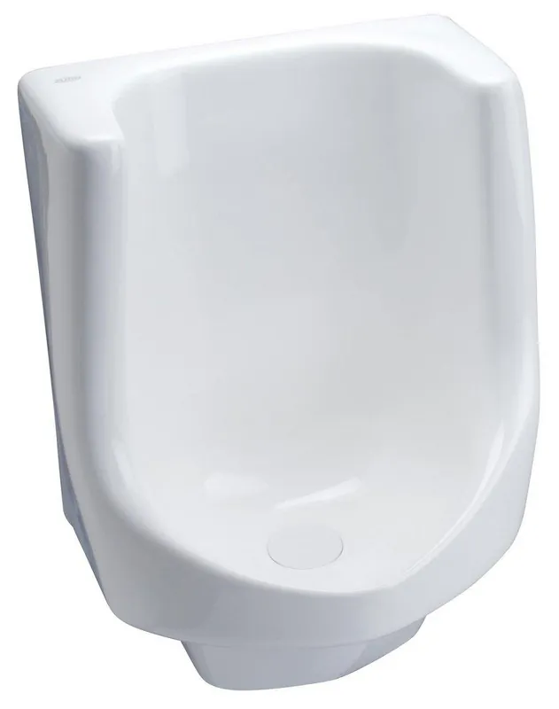 Zurn Z5795 Waterless Urinal