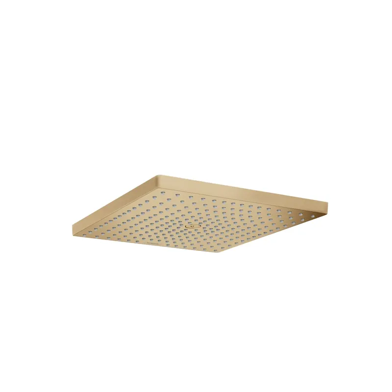 Hansgrohe 26240141 Raindance E Showerhead 300 1-Jet 1.8 GPM in Brushed Bronze