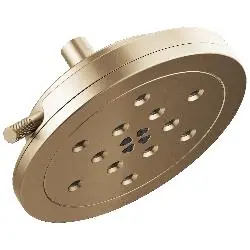 Delta Faucet 87435-GL Litze Multi-Function Raincan Shower Head 2 gpm Min 4 Sprays