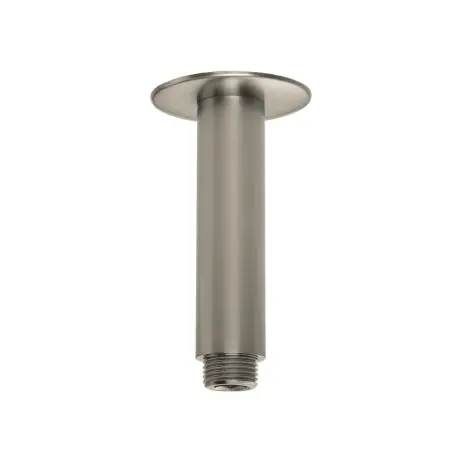 Hansgrohe 27479820 Showerhead