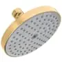 Hansgrohe 27495141 CCN 2.5 3F SHWRHD PBCH