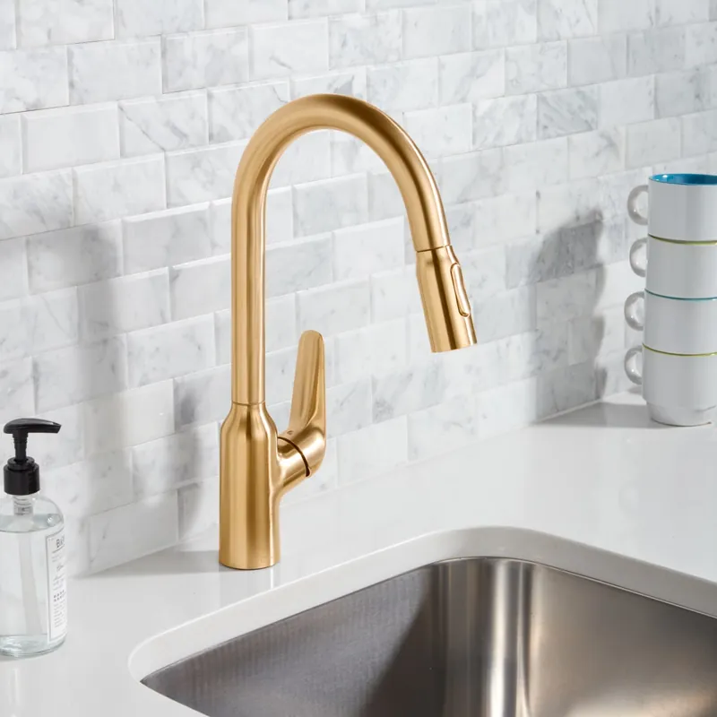 Hansgrohe 71801251 Focus N Prep Kitchen Faucet 1.75 GPM