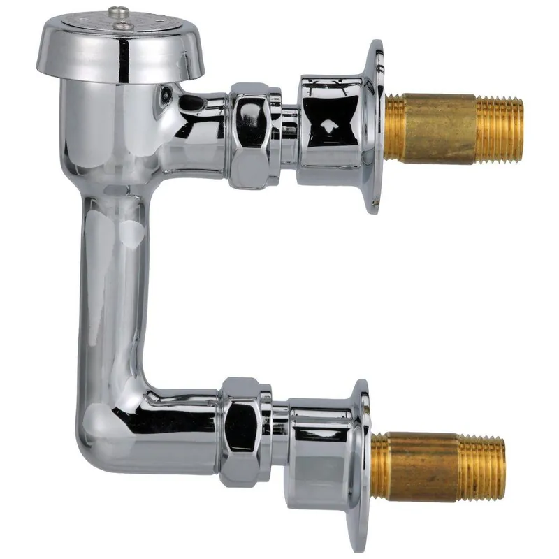 Zurn Z80000-XL-EVB AquaSpec Vacuum Breaker in Polished Chrome
