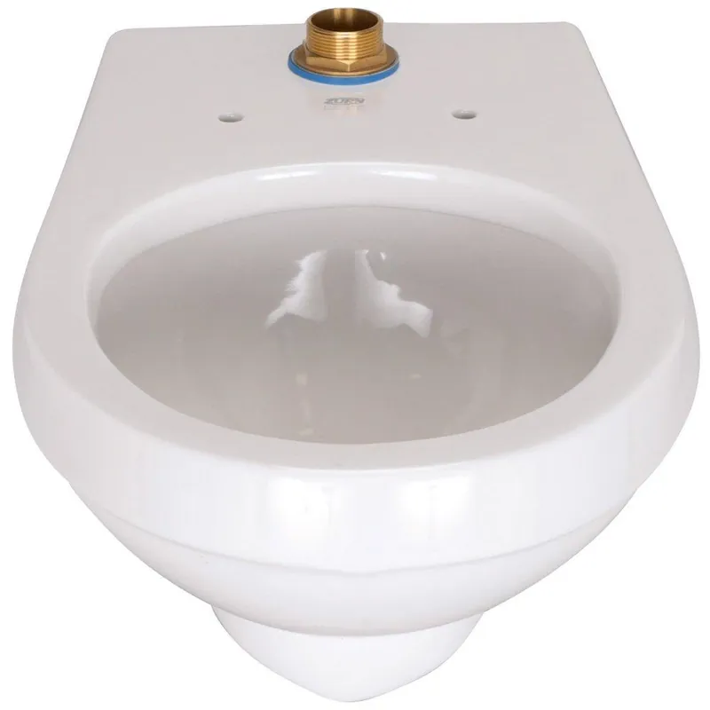 Zurn Z5615-BWL-AM EcoVantage Elongated Toilet Bowl in White