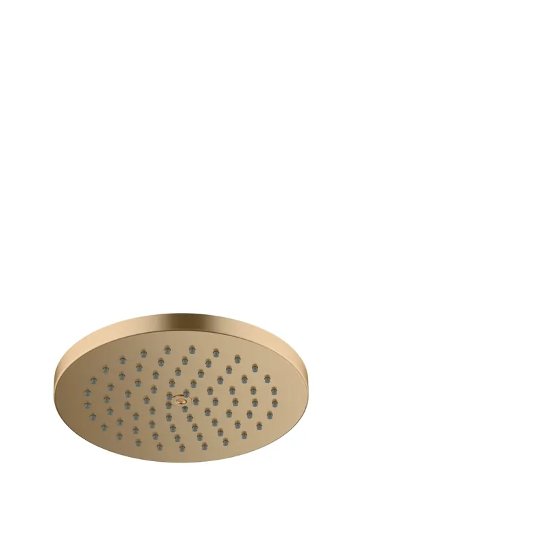 Hansgrohe 26928141 Raindance S Showerhead 180 1-Jet PowderRain 2.5 GPM