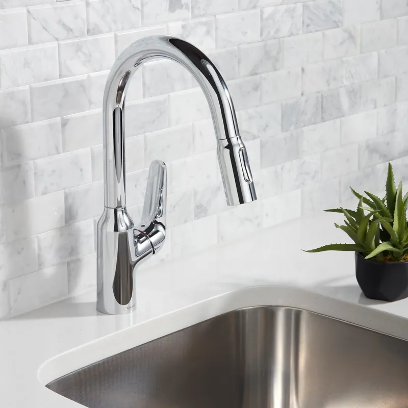 Hansgrohe 71801001 Focus N Prep Kitchen Faucet, 2-Spray Pull-Down, 1.75 GPM