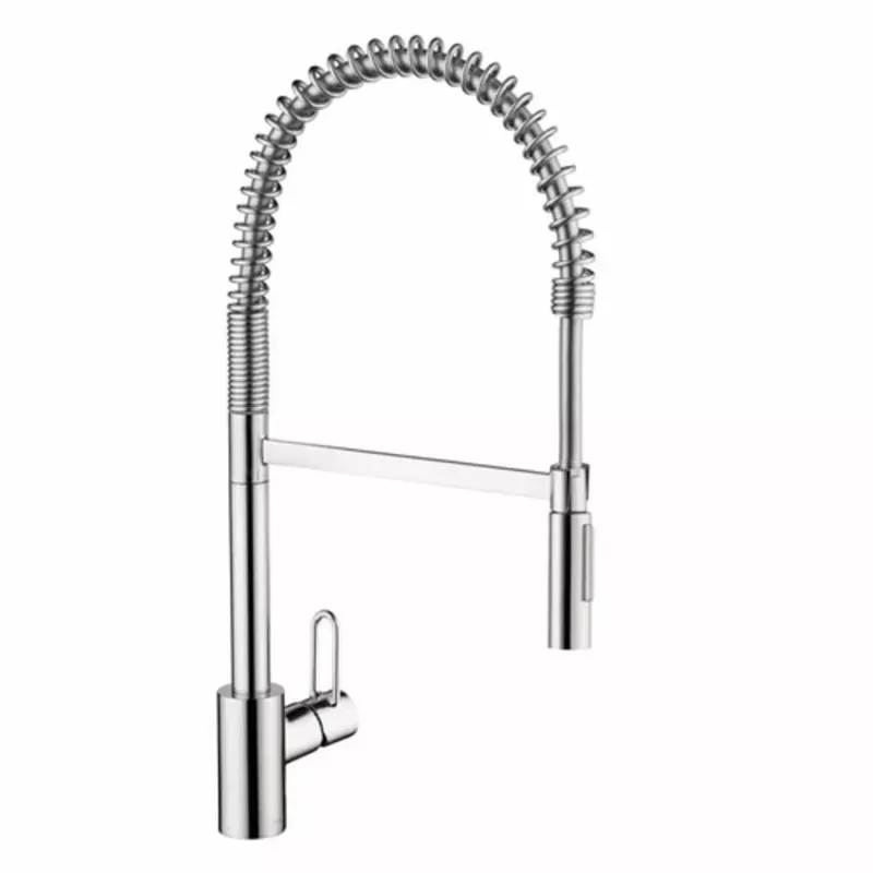 Hansgrohe 04700005 Talis Single Handle Kitchen Faucet 1.75 GPM