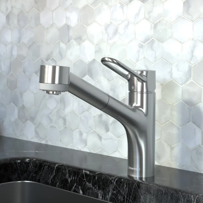 Hansgrohe 04704805 Talis Loop Pull-Out Kitchen Faucet 1.75 GPM